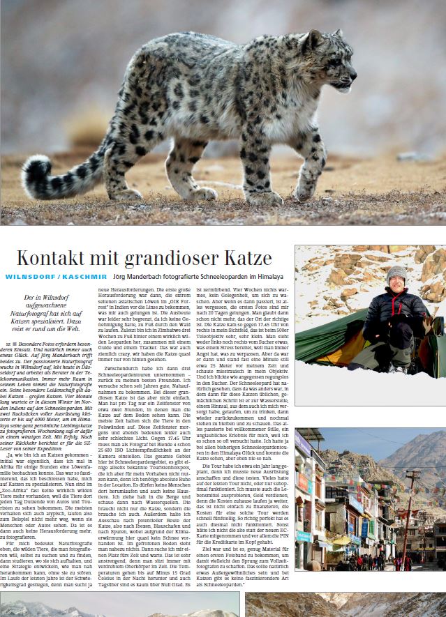 Artikel in der Siegener-Zeitung über die mehrmonatige Schneeleoparden-Tour des Naturfotografen Jörg Manderbach - Press article about sucessfull snow leopard tour at the Himalayas by German nature photographer Joerg Manderbach