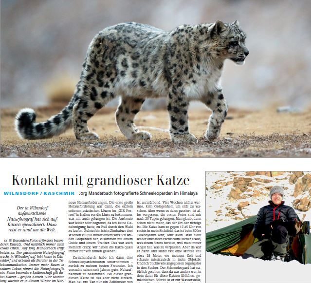 Artikel in der Siegener-Zeitung über die mehrmonatige Schneeleoparden-Tour des Naturfotografen Jörg Manderbach - Press article about sucessfull snow leopard tour at the Himalayas by German nature photographer Joerg Manderbach